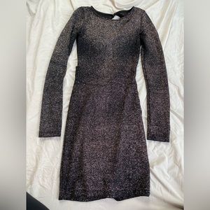 Bodycon Open Back Glitter Dress